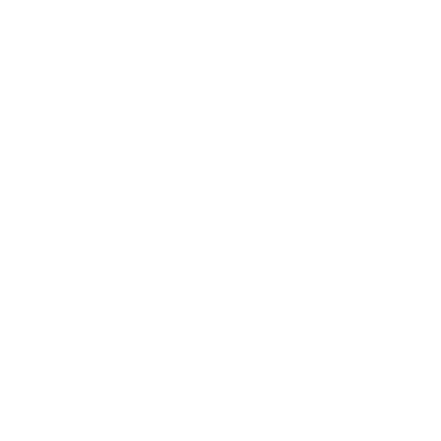 icone accessibilité